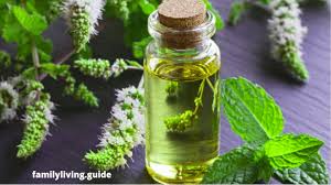 You'll also often find a good deal or promotion when shopping with plant therapy. Best Essential Oil Brands 2020 Therapeutic Essential Oils Review