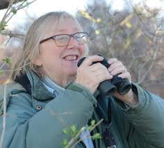 Nantucket Today July 2024 by The Inquirer And Mirror