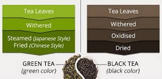 Green Tea Vs Black Tea Caffeine Levels Weight Loss Antioxidants