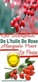 Les Bienfaits De L Huile De Rose Musquee Pour La Peau Huile De Rose Huile De Rose Musquee Et Huile Rose Musquee