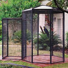 Bird Aviary Near Me Pin By Jean Ciancio On Bird Aviary Bird Aviary Large Bird Cages Aviary
