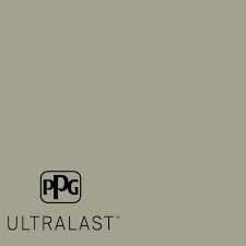 Smoky Slate Eggshell Interior Paint