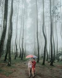 Karena itu, pengesahan hutan desa mendesak untuk segera direalisasikan dalam waktu dekat. Kuningan News Kuningan Terkini