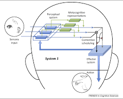 Maybe you would like to learn more about one of these? Figure 1 From Supra Personal Cognitive Control And Metacognition Semantic Scholar