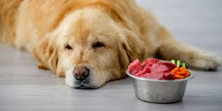 While this may seem like a simple question, there are several factors to consider. Can Dogs Eat Pickles Are They Safe For Them