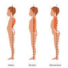 The human back, also called the dorsum, is the large posterior area of the human body, rising from the top of the buttocks to the back of the neck. 1