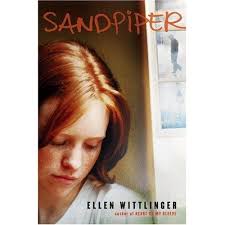 'Sandpiper' survives challenge