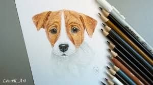.fantasy coloring pages for adults | digital coloring hand drawn grayscale art by artist matt davidson join our mailing list for exclusive free pages purchased item: Drawing A Realistic Dog Jack Russell Terrier With Colored Pencils Youtube