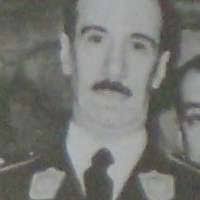 Haley Singleton Orlando FL