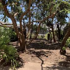 We have 7811 homeowner reviews of top houston lawn care services. Best Lawn Care Near Me June 2021 Find Nearby Lawn Care Reviews Yelp