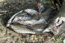 Berbagai tempat wisata baru bermunculan tiap bulan untuk memanjakan pengunjung. 12 Tempat Menarik Di Gerik Perak Wajib Singgah Kalau Sampai Hulu Perak Malaysia Lifestyle Blog