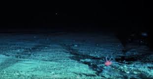Perhaps it should be a thing to either cover the windows with curtains or don't have a window at all in your bathroom. You Really Can T Imagine How Deep The Ocean Is Good