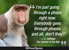 Image result