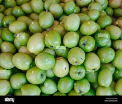 Image result for Ziziphus mauritiana