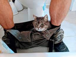 I said oh no…we are not having that!. So You Entered The Bathroom With Pants On But Now None Thisismylifenow