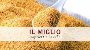 Che cos'è il miglio verde?nelle carceri l'ultimo tratto che conduce alla sedia elettrica è chiamato lultimo miglio e, in questo caso, l'aggettivo verde richiama il colore del pavimento del. Miglio Un Cereale Da Rivalutare
