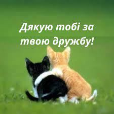 Jun 29, 2021 · міжнародний благодійний фонд parimatch foundation взяв участь у всеукраїнському форумі україна 30. 30 Lipnya Den Druzhbi Vitannya Listivki Ta Sms Do Svyata Radio Trek