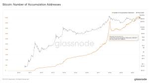 Bitcoin price (bitcoin price history charts). Record High Bitcoin Whale Population Is Bullish For Btc Price Analyst
