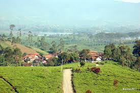 Dowes29.com informasi terbaru lengkap mengenai alamat lokasi dan harga tiket masuk wisata kebun teh malabar pangalengan bandung. Kebun Teh Malabar Pangalengan Bandung West Java Gunawan Ip Flickr