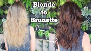 A great choice if you are trying to. Blonde To Dark Brunette Color Tutorial Youtube