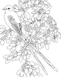 They're great for all ages. Mistletoe Coloring Pages Best Coloring Pages For Kids