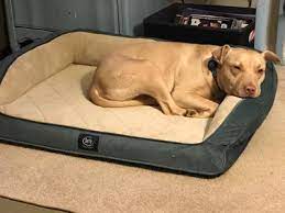 Orthopedic dog beds provide more support than average dog beds. Serta Orthopedic Memory Foam Couch Pet Dog Bed Large Color May Vary Walmart Com Walmart Com