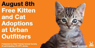Please, we do not do same day adoption,do to high volume calls,we are refering to email, please for acca regarding. Nyc Best Friends Cat Kitten Adoption Day Thecatsite