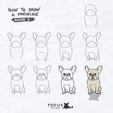 Amanda's frenchies, a registered breeder, is located in dublin, ohio. Pin By Jazmineugenio On Hand Drawn Doodles French Bulldog Drawing Bulldog Drawing French Bulldog Art