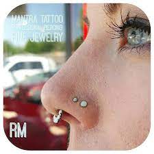 Mantra Tattoo On Instagram Healed Septum And Double Nostril Piercings With Jewelry From Indus Double Nostril Piercing Nose Piercing Placement Cool Piercings