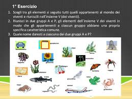 Classificazione Es Viventi Non Viventi 5