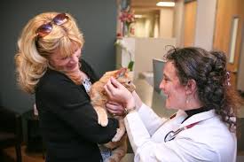 We are available when you need us. Pet Emergency Specialty Center East County 161 Photos 585 Reviews Veterinarians 5232 Jackson Dr La Mesa Ca Phone Number