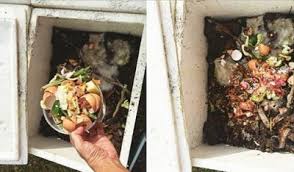 Bila buat 'composting' ni, tong sampah 'waste' kami makin kecil. Kaedah Membuat Baja Kompos Menggunakan Sisa Dapur Untuk Tanaman Anda Encikshino Com