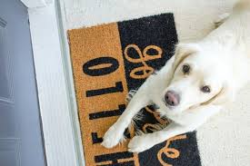 My golden retriever puppies is an exclusive group of experienced golden retriever breeders in millersburg, ohio. 10 Best Golden Retriever Breeders In Ohio Legit Only
