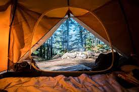 Descúbrelos en sorprendentes parques y reservas por todo el estado. Los Mejores Lugares Para Acampar En California Us Traveler