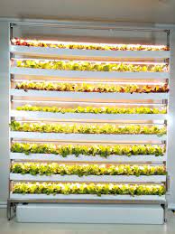 Opcom Hydroponics Hydroponics Hydroponic Gardening System Indoor Vegetable Gardening