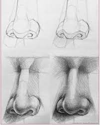 follow 5n o8 خطوات رسم الانف draw sketch كلنا رسامي art drawings simple nose drawing anatomy art