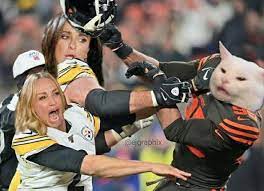 Myles Garrett Helmet Attack Know Your Meme
