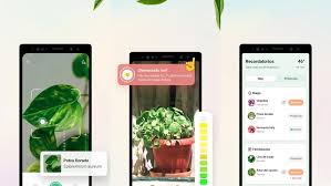 La app para cuidar de tus plantas con consejos personalizados y guías  gratuitas