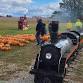 PUMPKIN TRAIN 2025