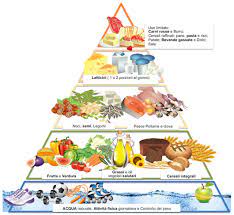 Cosa e come dovremmo mangiare. Alimentazione In Gravidanza Ginecologa Merate