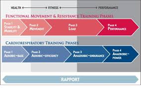 When To Change Up The Program Periodization Fitness