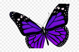 Check spelling or type a new query. Rainbow Butterfly Clipart Spring Purple Butterfly Transparent Background Free Transparent Png Clipart Images Download