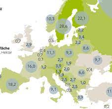 Grune Lungen Die Walder Erobern Europa Zuruck Welt