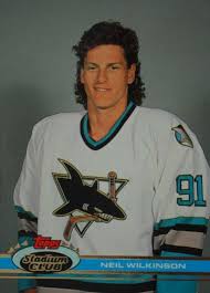 You can only vote once. Top Ten Hockey Card Mullets