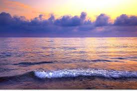 Mersin dto yönetimi, mip yetkilileriyle deni̇z kazalari. Ocean Vs Sea Difference And Comparison Diffen