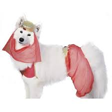 Please Note We Do Not Take Returns Of Costumes After October 15 Finally A Dog Halloween Costume Pet Halloween Costumes Dog Halloween Costumes Pet Costumes