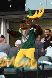 Find groups in edmonton, canada that host online or in person events and meet people in your local community who share your interests. Edmonton Elks S Tweet New To This Neck Of The Woods Meet Spike Antlerup Trendsmap