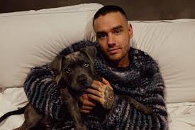 Liam Payne Smashed £30,000 Rolex and Punched Hotel TV: Escorts Detail One Direction Star's Final Hours