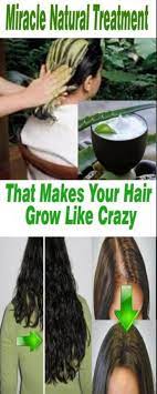 Olive oil is rich in omega3 acids and other nutrients that are essential for overall health, including hair health. How To Grow Hair Faster Home Remedies How To Grow Hair Faster In A Week How To Make Hair Grow Faster And Thick Grow Hair Make Hair Grow Make Hair Grow