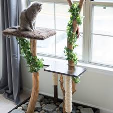 Use your design plan to determine which materials you will need. 8 Diy Cat Tree Plans You Can Get For Free